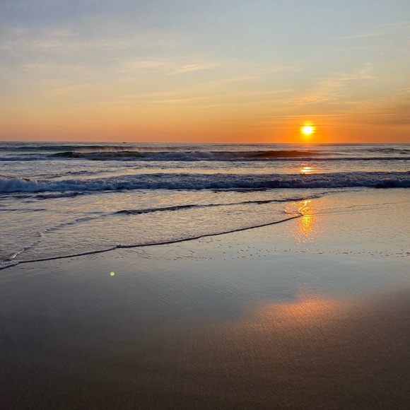 Meet your Posher, Emma - Picture 1 of 1